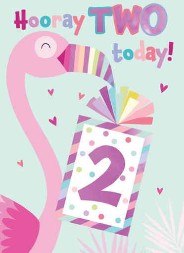 Picture of HOORAY TWO TODAY BIRTHDAY CARD